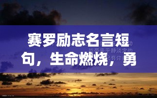 赛罗励志名言短句，生命燃烧，勇往直前不回头