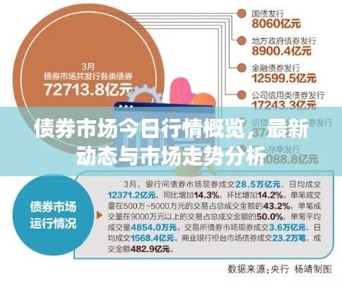 债券市场今日行情概览，最新动态与市场走势分析