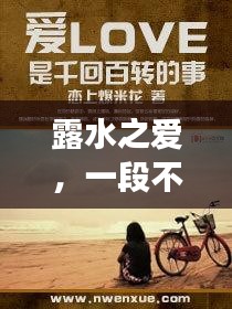 露水之爱，一段不期而遇的深情旅程小说
