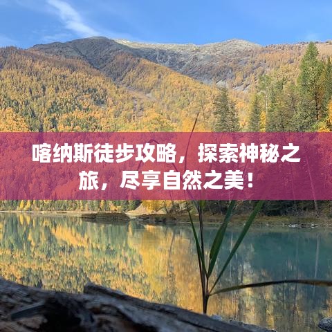 喀纳斯徒步攻略，探索神秘之旅，尽享自然之美！