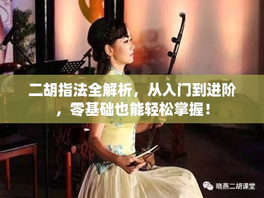 二胡指法全解析，从入门到进阶，零基础也能轻松掌握！