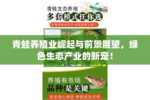 青蛙养殖业崛起与前景展望，绿色生态产业的新宠！