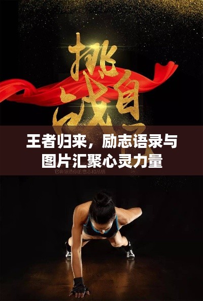 贵冠履轻头足
