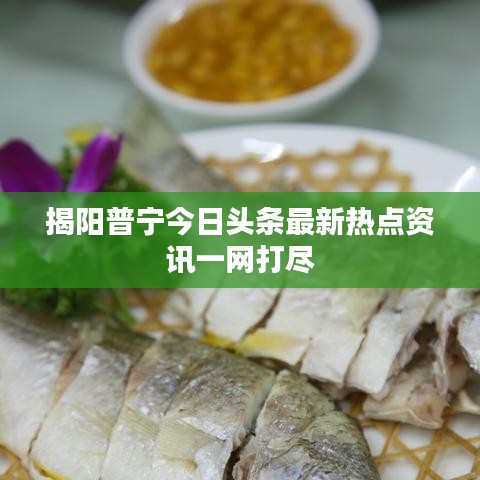 揭阳普宁今日头条最新热点资讯一网打尽
