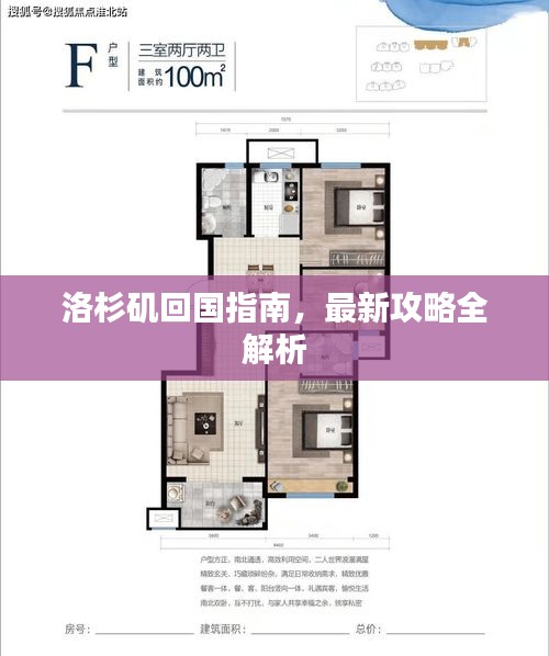 洛杉矶回国指南，最新攻略全解析