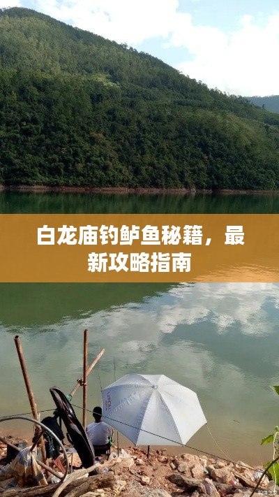 白龙庙钓鲈鱼秘籍，最新攻略指南