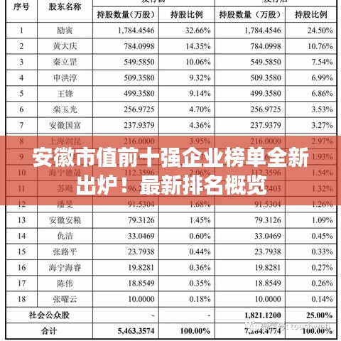 安徽市值前十强企业榜单全新出炉！最新排名概览
