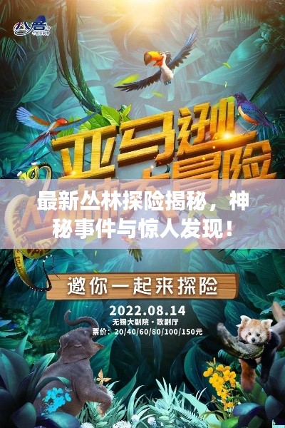 最新丛林探险揭秘，神秘事件与惊人发现！
