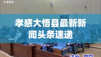 孝感大悟县最新新闻头条速递
