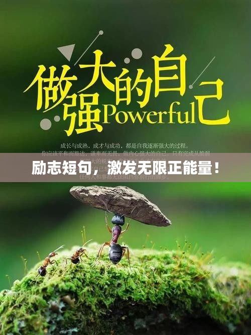 励志短句，激发无限正能量！