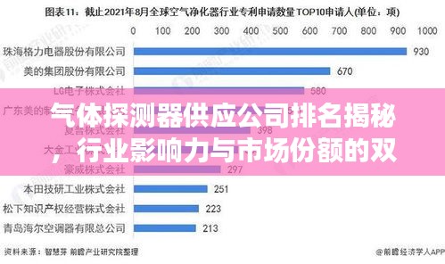 气体探测器供应公司排名揭秘，行业影响力与市场份额的双重考量