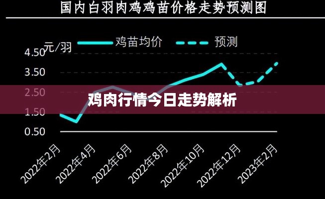 国色天姿