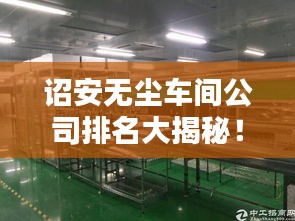 诏安无尘车间公司排名大揭秘！