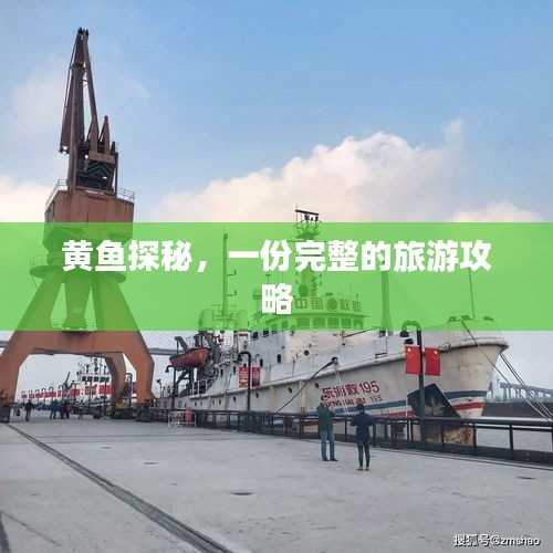 黄鱼探秘，一份完整的旅游攻略
