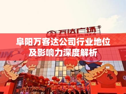 阜阳万客达公司行业地位及影响力深度解析