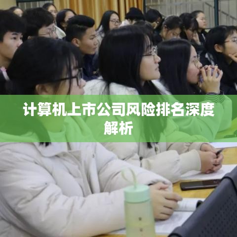 计算机上市公司风险排名深度解析