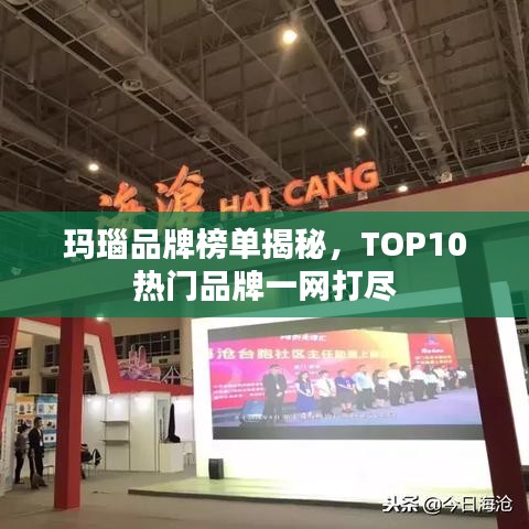 玛瑙品牌榜单揭秘，TOP10热门品牌一网打尽