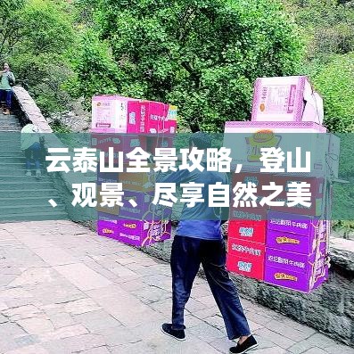 云泰山全景攻略，登山、观景、尽享自然之美！