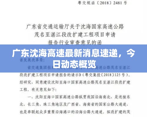 广东沈海高速最新消息速递，今日动态概览