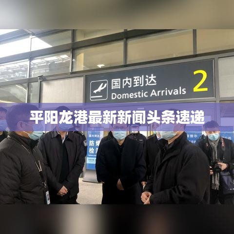 平阳龙港最新新闻头条速递
