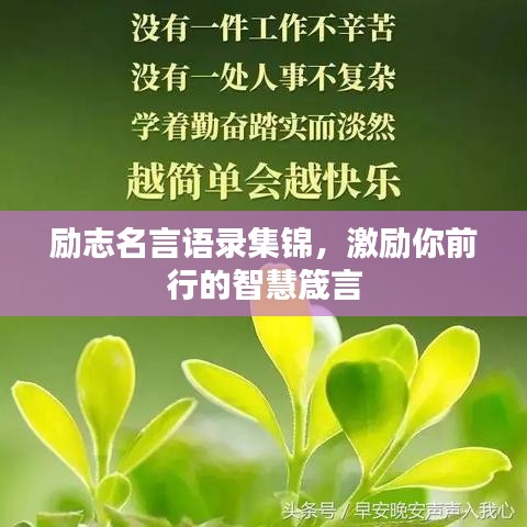 励志名言语录集锦，激励你前行的智慧箴言
