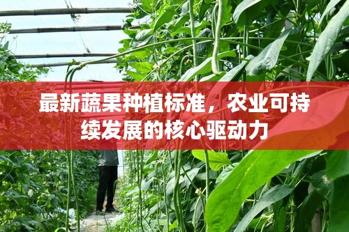 最新蔬果种植标准，农业可持续发展的核心驱动力