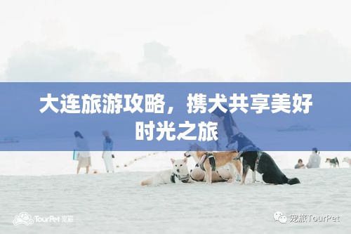 大连旅游攻略，携犬共享美好时光之旅