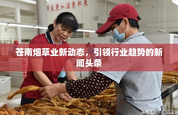 破马张飞