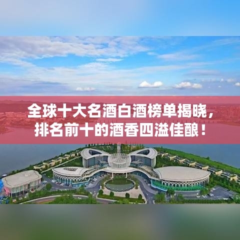 全球十大名酒白酒榜单揭晓，排名前十的酒香四溢佳酿！