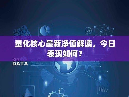 量化核心最新净值解读，今日表现如何？