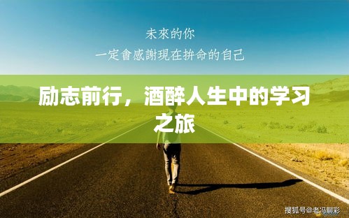 励志前行，酒醉人生中的学习之旅