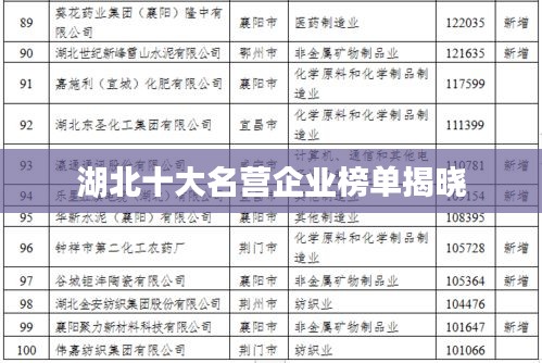 湖北十大名营企业榜单揭晓