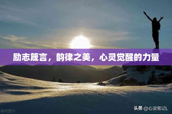风流儒雅