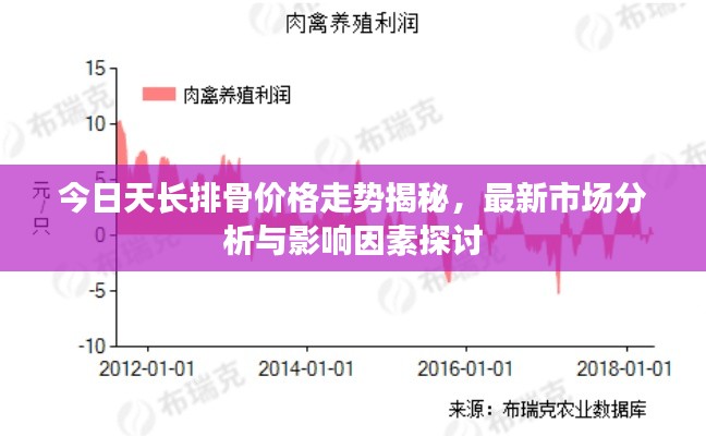 今日天长排骨价格走势揭秘，最新市场分析与影响因素探讨