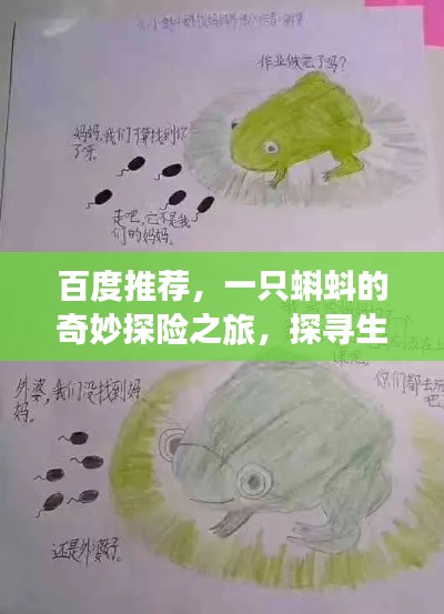 百度推荐，一只蝌蚪的奇妙探险之旅，探寻生命成长之路