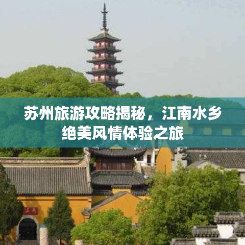 井蛙之见