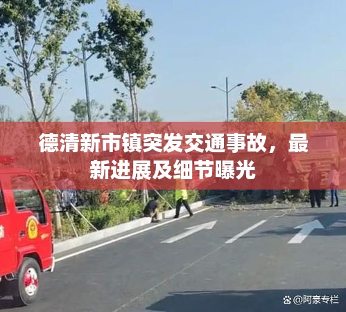 德清新市镇突发交通事故，最新进展及细节曝光
