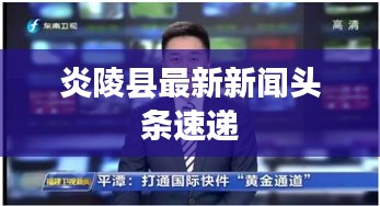 炎陵县最新新闻头条速递