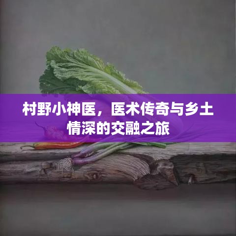 村野小神医，医术传奇与乡土情深的交融之旅
