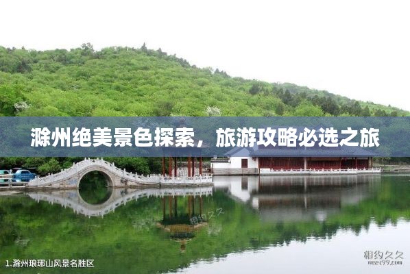 如鸟兽散