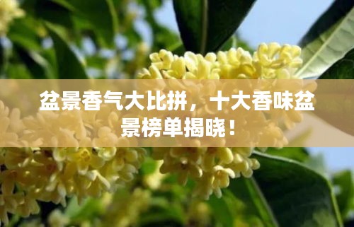 窗明几净