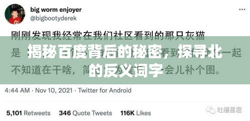 揭秘百度背后的秘密，探寻北的反义词字