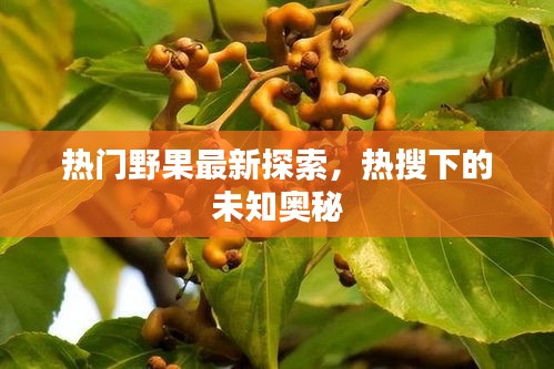 久别重逢