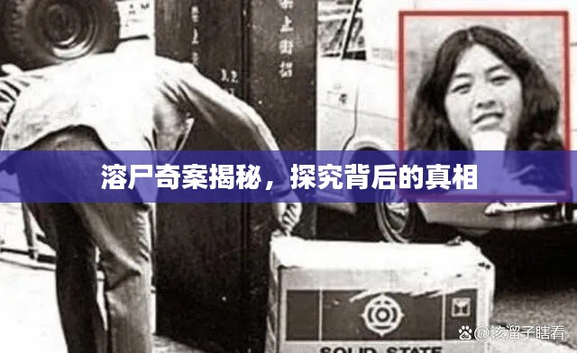业业兢兢