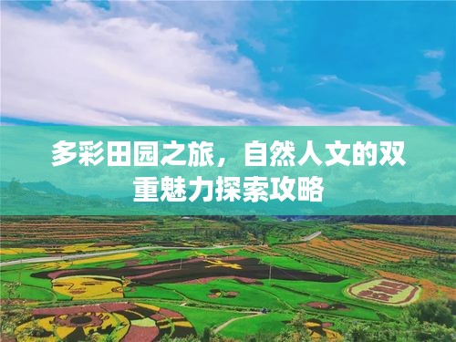 一心一意