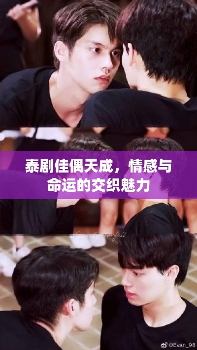 泰剧佳偶天成，情感与命运的交织魅力
