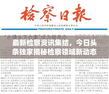 最新检察资讯集结，今日头条独家揭秘检察领域新动态