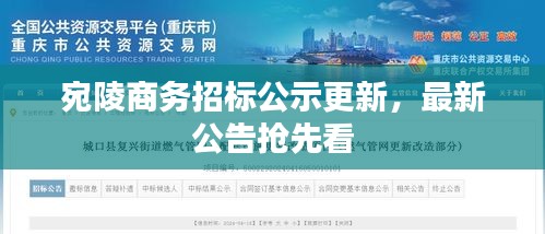 宛陵商务招标公示更新，最新公告抢先看
