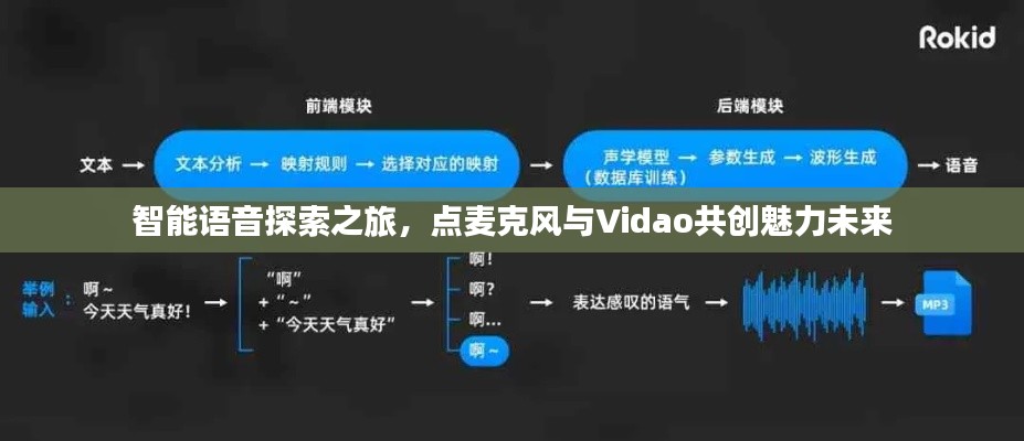 智能语音探索之旅，点麦克风与Vidao共创魅力未来