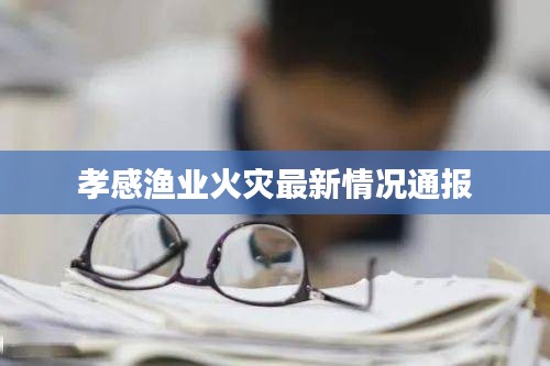 孝感渔业火灾最新情况通报